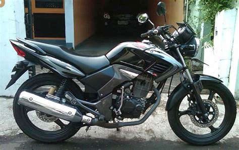 5 Harga Sepeda Tiger Bekas Termurah di Bawah 2 Juta! 5 Harga Sepeda Tiger Bekas Termurah di Bawah 2 Juta!