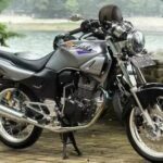 5 Harga Sepeda Tiger Bekas Termurah di Bawah 2 Juta!